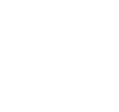 Baro: One of the Best Restaurants in Toronto