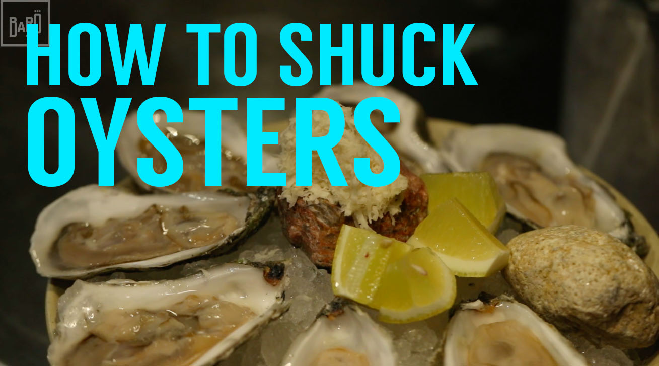 HOW TO SHUCK OYSTERS